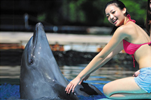 帕劳太平洋海豚湾公园