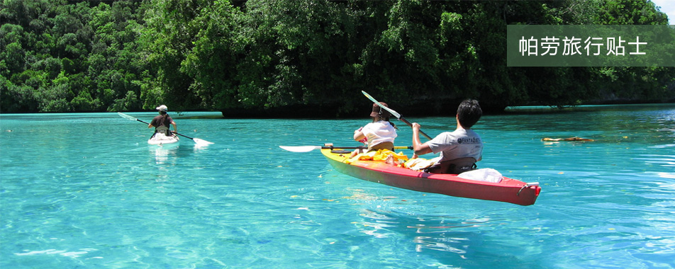 帕劳旅行贴士