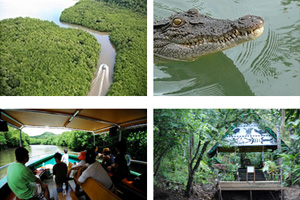 热带丛林游船探险