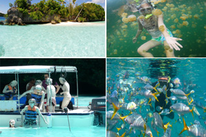 洛克群岛东线一日游