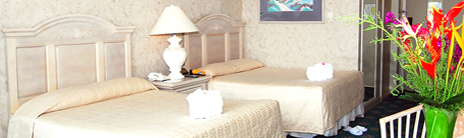 帕劳大饭店市景豪华房