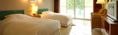 舒适客房—高级客房