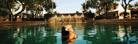 海岛游推荐：巴厘岛，一座艺术之岛！