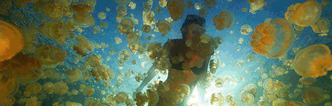 海岛游推荐：帕劳群岛