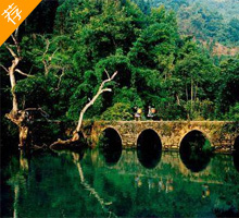 风情南丹•醉美荔波动车4天