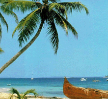 海南三亚暑假旅游推荐