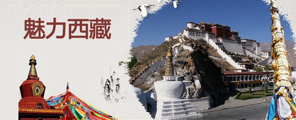 广州到西藏旅游报价